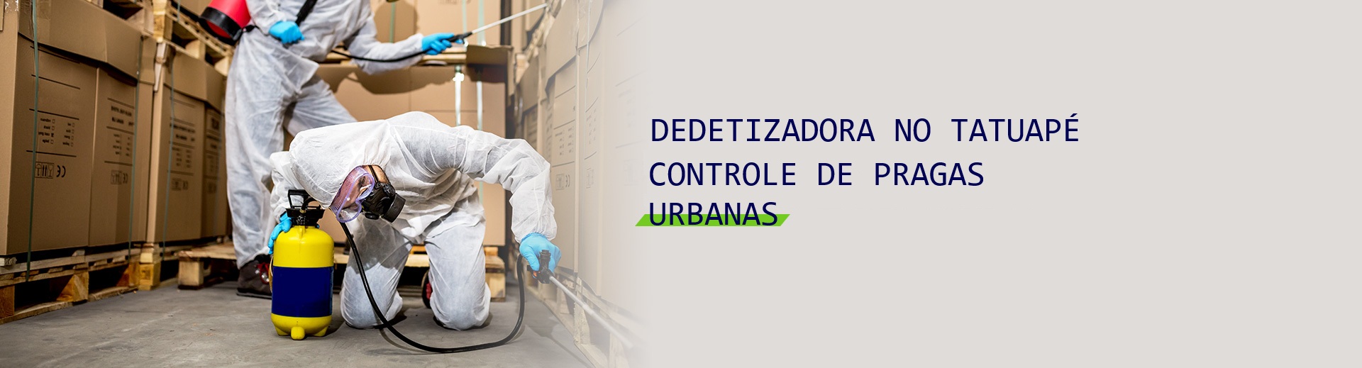 dedetizadora no tatuape